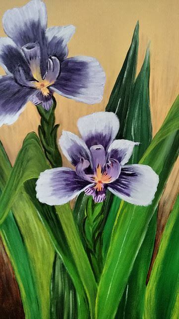 Orquídea III